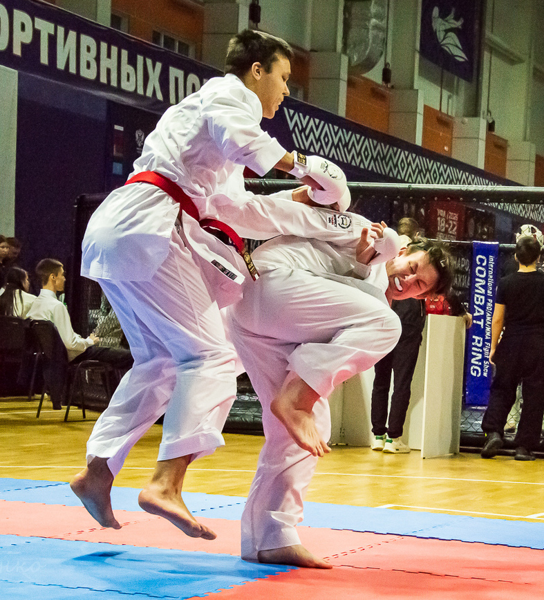 каратэ, дзюдо, щелково, дети, победа, день борьбы