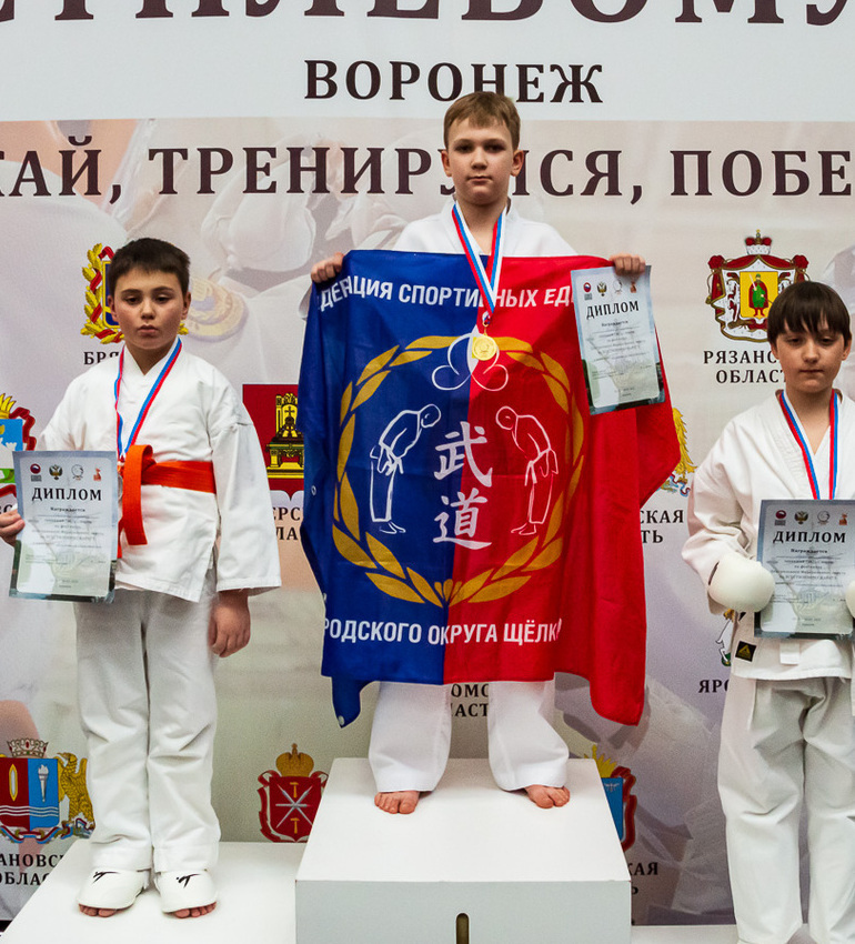 первенство, всестилевое каратэ, дети, дзюдо, каратэ, щёлково, тула  , день победы, всестилевое каратэпитер, кубок петра великого,  тренировка, первенство россии