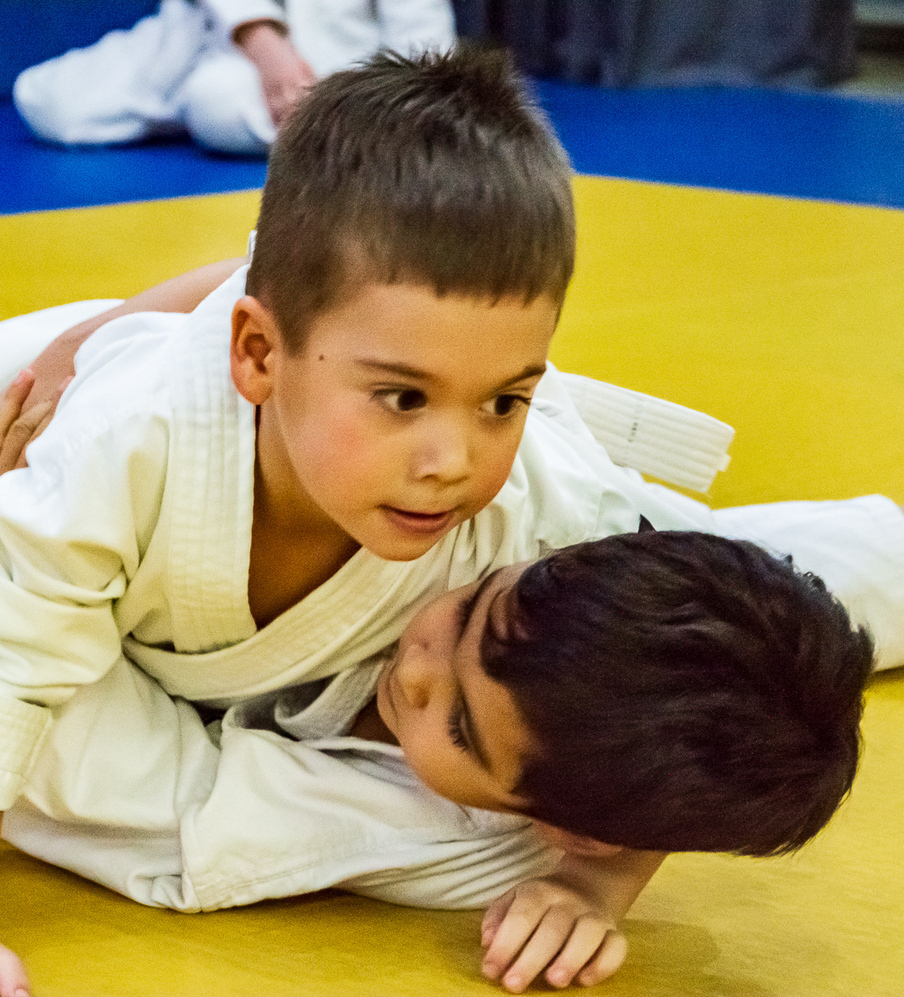 каратэ, дзюдо, щелково, дети, победа, день борьбы