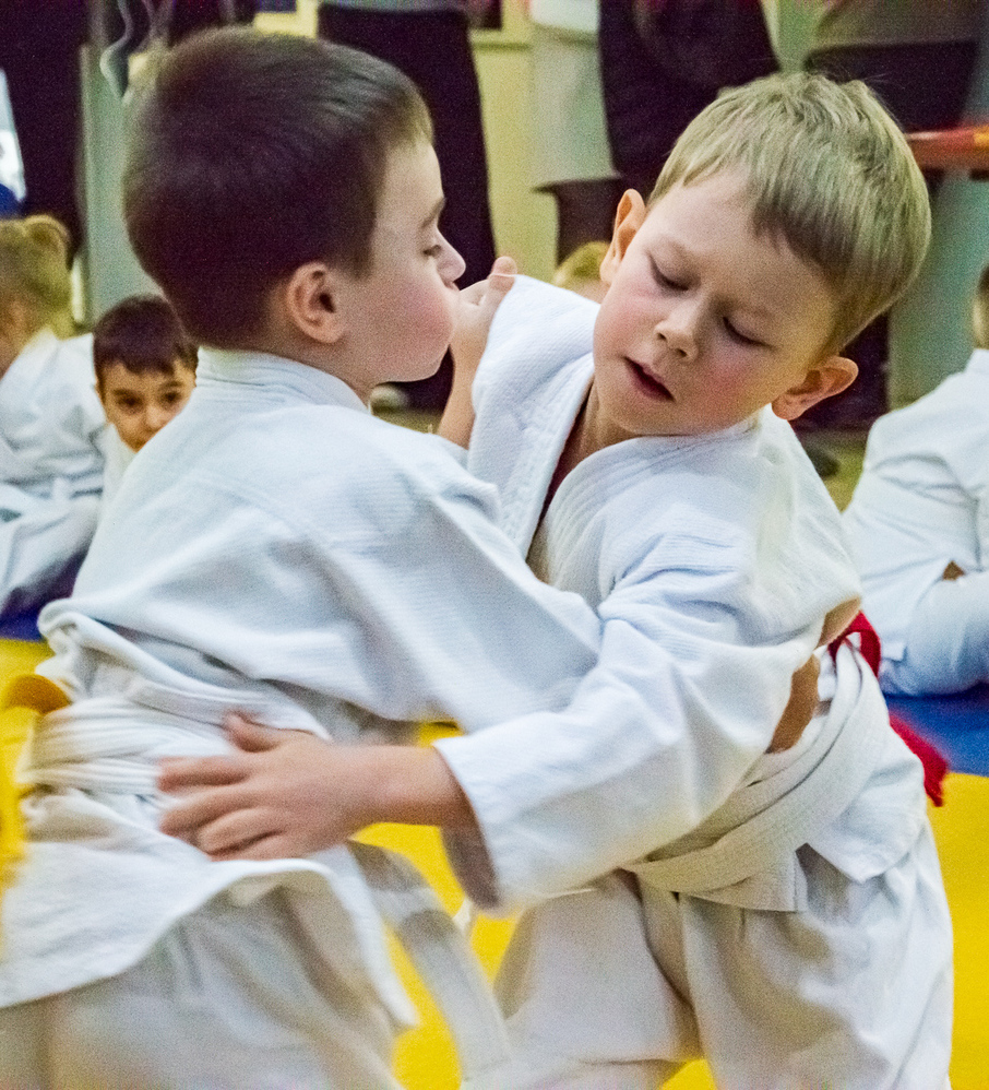 каратэ, дзюдо, щелково, дети, победа, день борьбы